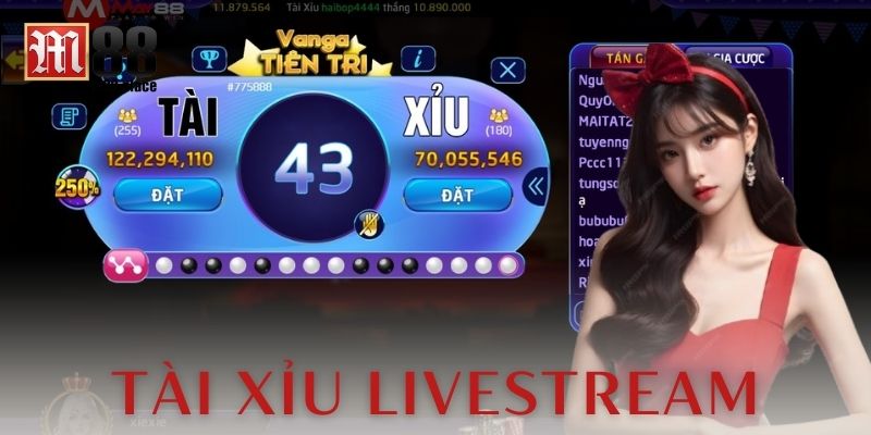  Những lưu ý quan trọng